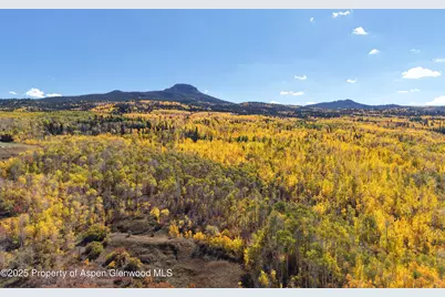 943 Routt Forest Drive, Craig, CO 81625 - Photo 118