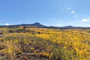 943 Routt Forest Dr, Craig, CO 81625 - Photo 118