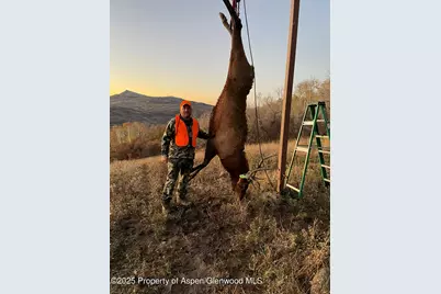 943 Routt Forest Drive, Craig, CO 81625 - Photo 98