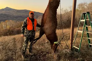 943 Routt Forest Dr, Craig, CO 81625 - Photo 98