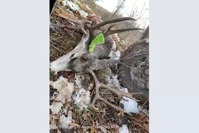 943 Routt Forest Drive, Craig, CO 81625 - Photo 108