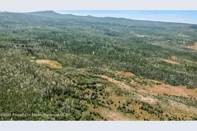 943 Routt Forest Drive, Craig, CO 81625 - Photo 84