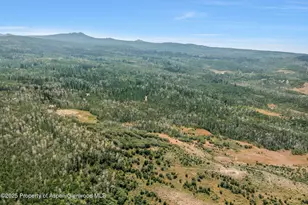 943 Routt Forest Dr, Craig, CO 81625 - Photo 84