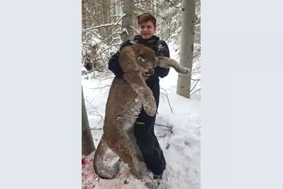 943 Routt Forest Drive, Craig, CO 81625 - Photo 106