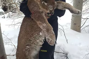 943 Routt Forest Dr, Craig, CO 81625 - Photo 106