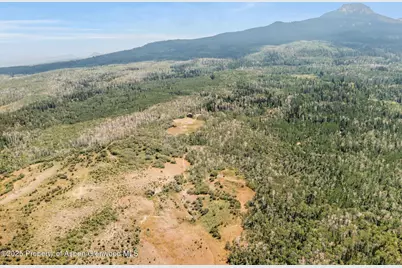 943 Routt Forest Drive, Craig, CO 81625 - Photo 82