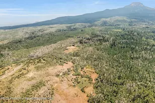 943 Routt Forest Dr, Craig, CO 81625 - Photo 82