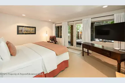 109 Neale Avenue, Aspen, CO 81611 - Photo 8