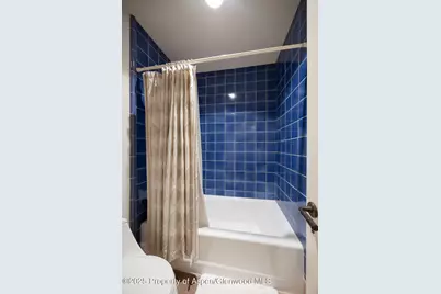 109 Neale Avenue, Aspen, CO 81611 - Photo 32