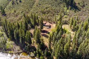 768 Kings Lake Rd, Basalt, CO 81621 - Photo 36