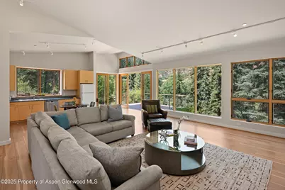 768 Kings Lake Road, Basalt, CO 81621 - Photo 6