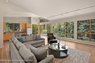 768 Kings Lake Rd, Basalt, CO 81621 - Photo 6