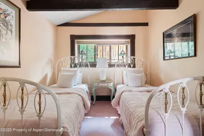 214 W Hyman Avenue, Aspen, CO 81611 - Photo 12