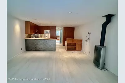 100 E Cooper Avenue #2, Aspen, CO 81611 - Photo 4