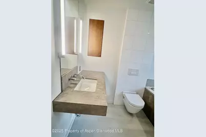 100 E Cooper Avenue #2, Aspen, CO 81611 - Photo 10
