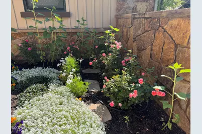 70 Golden Bear Drive, Carbondale, CO 81623 - Photo 52