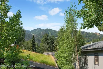 306 Oak Lane, Aspen, CO 81611 - Photo 20