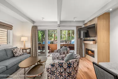 610 S West End Street #Unit K103, Aspen, CO 81611 - Photo 1