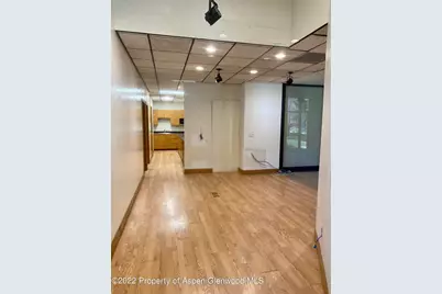 225 N Mill Street #117, Aspen, CO 81611 - Photo 14