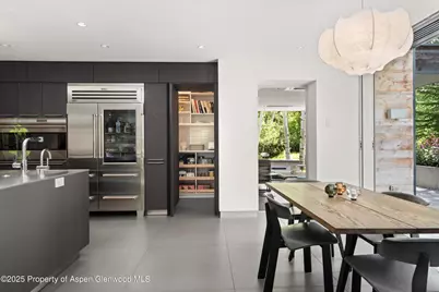 1180 Black Birch Drive, Aspen, CO 81611 - Photo 6