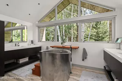 1180 Black Birch Drive, Aspen, CO 81611 - Photo 12