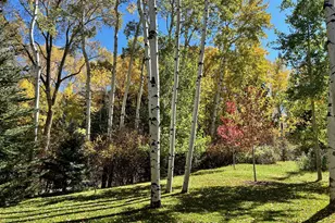 1180 Black Birch Dr, Aspen, CO 81611 - Photo 28