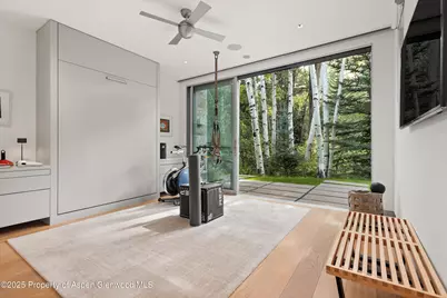 1180 Black Birch Drive, Aspen, CO 81611 - Photo 14