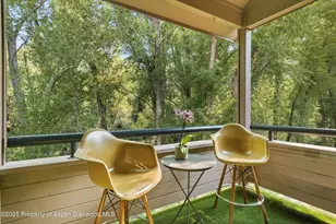 332 Vine St, Aspen, CO 81611 - Photo 6