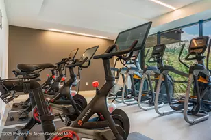 77 Wood Rd, Snowmass Village, CO 81615 - Photo 30