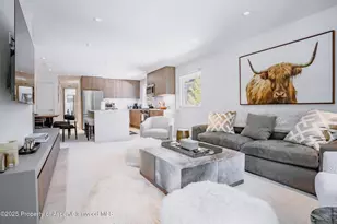 210 E Cooper Ave, Aspen, CO 81611 - Photo 4