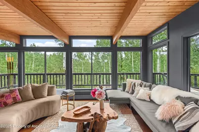 49 Elk Ridge Lane, Snowmass Village, CO 81615 - Photo 2