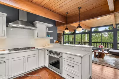 49 Elk Ridge Lane, Snowmass Village, CO 81615 - Photo 12