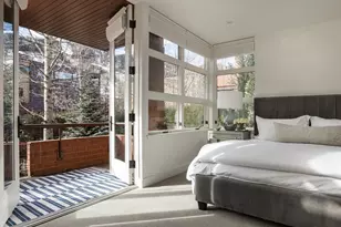 704 E Hyman Ave, Aspen, CO 81611 - Photo 22