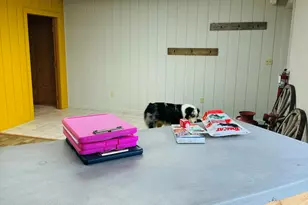 8700 Co Rd 300, Parachute, CO 81635 - Photo 72