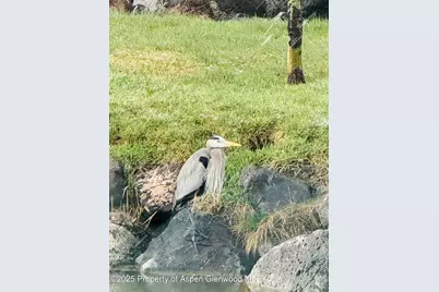 8700 Co Rd 300, Parachute, CO 81635 - Photo 18