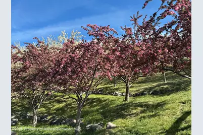 8700 Co Rd 300, Parachute, CO 81635 - Photo 20