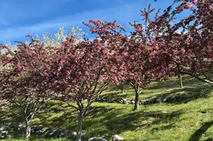 8700 Co Rd 300, Parachute, CO 81635 - Photo 20