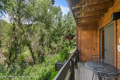 824 E Hopkins Avenue #102 and 202, Aspen, CO 81611 - Photo 18