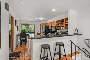 824 E Hopkins Ave, Aspen, CO 81611 - Photo 8