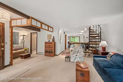 824 E Hopkins Avenue #102 and 202, Aspen, CO 81611 - Photo 10