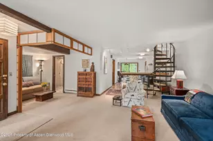 824 E Hopkins Ave, Aspen, CO 81611 - Photo 10