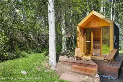 1145 Black Birch Drive, Aspen, CO 81611 - Photo 30