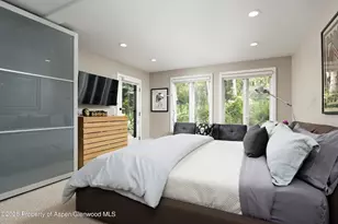 1145 Black Birch Dr, Aspen, CO 81611 - Photo 18