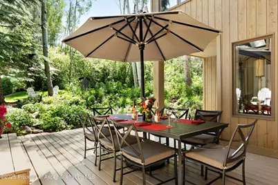 1145 Black Birch Drive, Aspen, CO 81611 - Photo 28