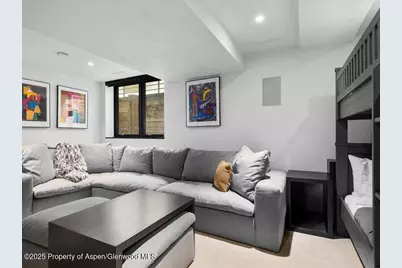 100 N 8th Street #15, Aspen, CO 81611 - Photo 20