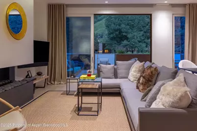 100 E Cooper Avenue #11, Aspen, CO 81611 - Photo 14