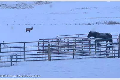 2956 County Road 37, Hamilton, CO 81638 - Photo 162