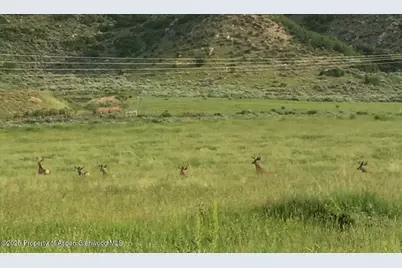 2956 County Road 37, Hamilton, CO 81638 - Photo 160