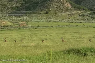 2956 Co Rd 37, Hamilton, CO 81638 - Photo 160