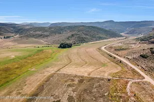 2956 Co Rd 37, Hamilton, CO 81638 - Photo 88